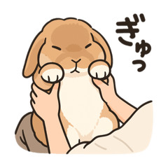 [LINEスタンプ] スタンプがうさぎの画像（メイン）