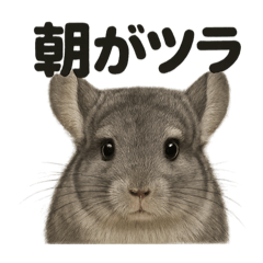 [LINEスタンプ] 癒し系チンチラの眠いラインスタンプ