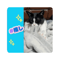 [LINEスタンプ] らきのうごくすたんぷ