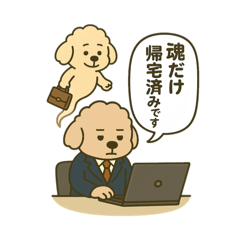 [LINEスタンプ] トイプードルkomugiお仕事編
