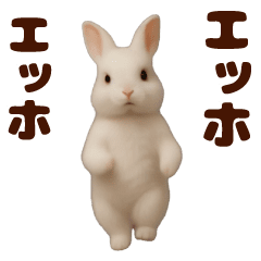[LINEスタンプ] 踊る！うさぎMAX/ウサギ/兎/ラビット