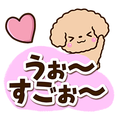[LINEスタンプ] トイプードル「アプリコット」太字