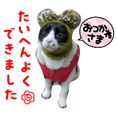 [LINEスタンプ] ハチコとグリコ2025