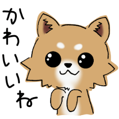 [LINEスタンプ] とにかくチワワかわいい