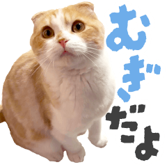 [LINEスタンプ] こんにちは、むぎです。