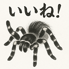 [LINEスタンプ] タランチュラ（水墨画風）