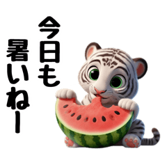 [LINEスタンプ] ホワイトタイガーの真夏のスタンプ