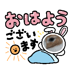 [LINEスタンプ] モカみたらし