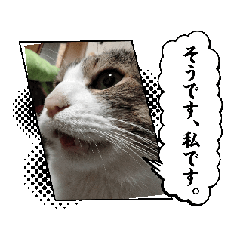 [LINEスタンプ] モックンとポポンタ