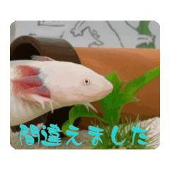 [LINEスタンプ] ウパうめ日記 よく使う編part2