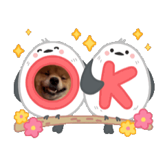 [LINEスタンプ] 動く！レンくん3（タヌキキツネイッヌ）