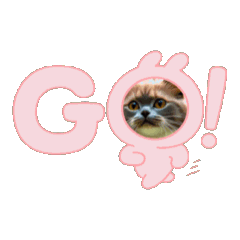 [LINEスタンプ] トム君チャンネルの公式スタンプ4です。