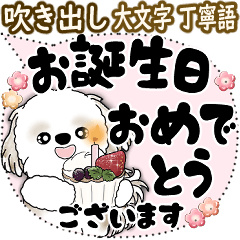 [LINEスタンプ] シーズー犬 2025 「大き目文字・吹き出し」