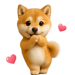[LINEスタンプ] 毎日使える♡動く！豆柴の画像（メイン）
