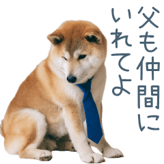 [LINEスタンプ] 実写父しば犬【連絡・家族】