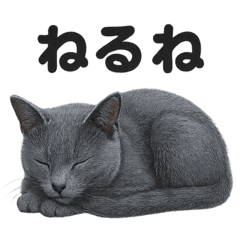[LINEスタンプ] とにかく眠いロシアンブルー猫スタンプ