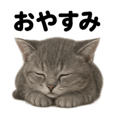 [LINEスタンプ] とにかく眠いマンチカン猫スタンプ