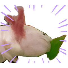 [LINEスタンプ] ウパうめ日記 可愛い集編