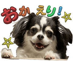 [LINEスタンプ] れおとてり4