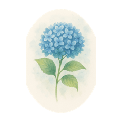 [LINEスタンプ] 6月の花、アジサイ、Hydrangea