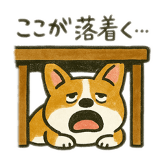 [LINEスタンプ] コーギーver.1（Zooっとぼーっと）