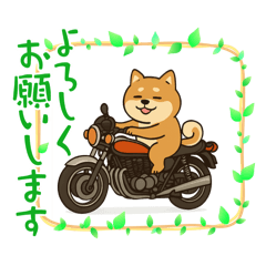 [LINEスタンプ] 柴犬とバイク