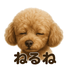 [LINEスタンプ] とにかく眠いトイプードル犬のライン