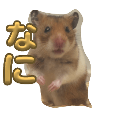 [LINEスタンプ] ハムハムスタンプ 第1弾