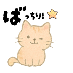 [LINEスタンプ] 【毎日つかえる】ポジティブにゃんこ