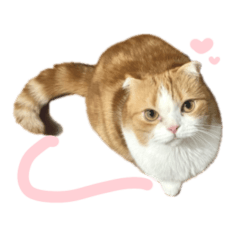 [LINEスタンプ] ちまきのすたんぷ①
