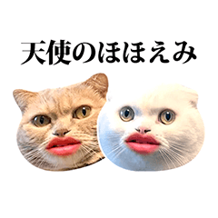 [LINEスタンプ] もろむくスタンプ9