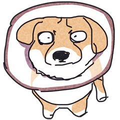 [LINEスタンプ] アニマルズ？コーギーパーティーver.2