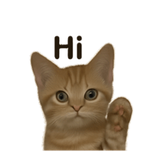 [LINEスタンプ] 茶トラ女子