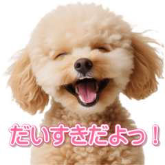[LINEスタンプ] きゅん笑顔トイプードル
