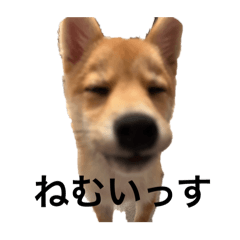 [LINEスタンプ] バム1-1