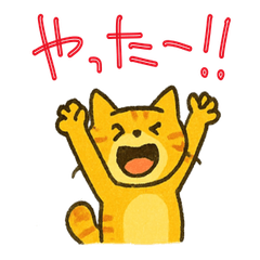 [LINEスタンプ] まいにちネコ感情