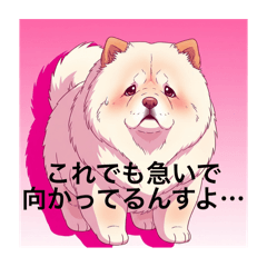 [LINEスタンプ] チャウはいいゾォ