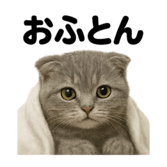 [LINEスタンプ] とにかく眠いスコティッシュホールド