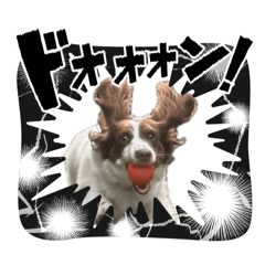 [LINEスタンプ] カグラくんスタンプ13