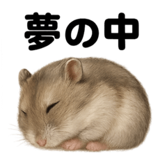 [LINEスタンプ] とにかく眠いジャンガリアンハムスター