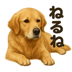 [LINEスタンプ] とにかく眠いゴールデンレトリバー犬