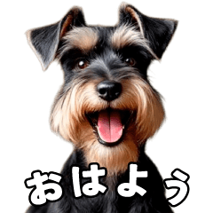 [LINEスタンプ] リアルシュナウザー（日常会話）
