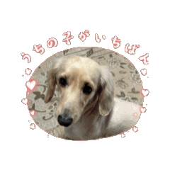 [LINEスタンプ] ダックス1番