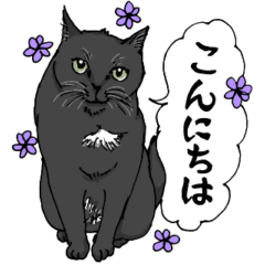 [LINEスタンプ] エンジェルマークの黒猫♡くろ
