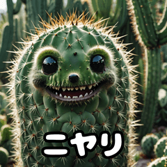 [LINEスタンプ] リアル写真サボテンのとげとげ日常