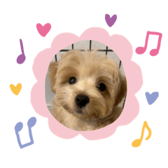 [LINEスタンプ] ぷっちゃんハッピースタンプ