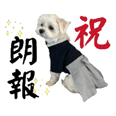 [LINEスタンプ] coron season 10 お知らせ編