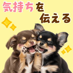 [LINEスタンプ] 毎日使える！感情豊かで可愛いチワワ