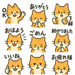 [LINEスタンプ] ネコのきもちスタンプ2