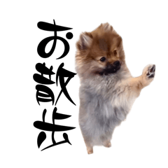 [LINEスタンプ] おもしろおちびちゃん達